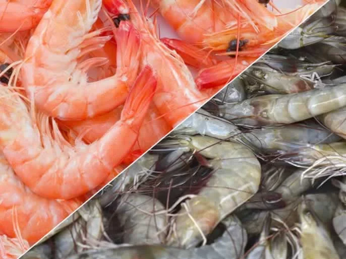 Differences between shrimps and prawns