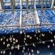Martak Shrimp processing equipment Article Featured