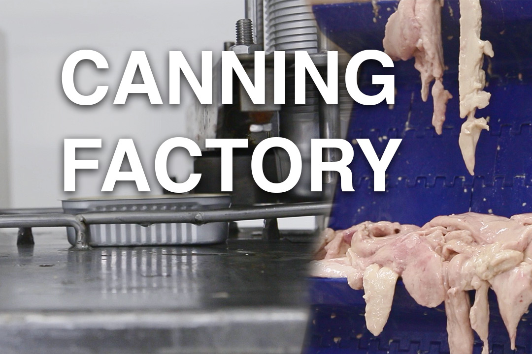 Thumbnail image for canning factory video by Martak