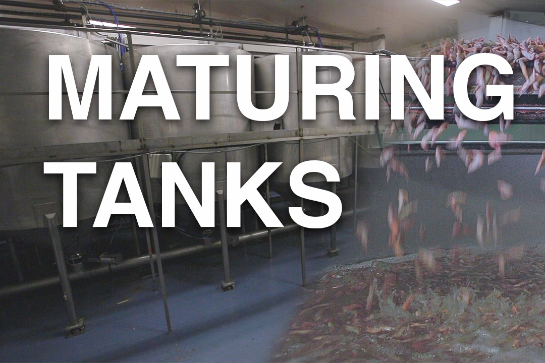 Thumbnail image for maturing tanks by Martak